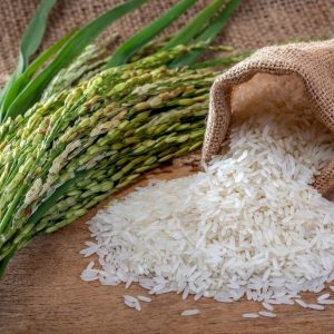 e07d4ab59aea4b79c61fff5a79e94e81