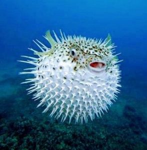 a15f341db329597193123ac9b8a1d993